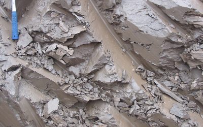 Glossaire | Plastique et plasticité